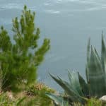 Osejava 150x150 Photo gallery