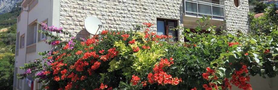 Makarska hotel
